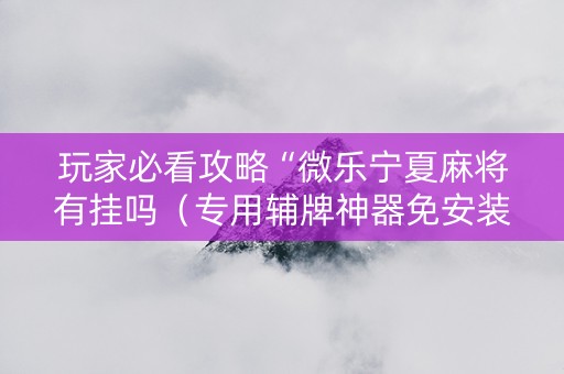 玩家必看攻略“微乐宁夏麻将有挂吗（专用辅牌神器免安装）