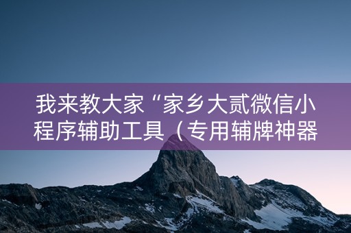 我来教大家“家乡大贰微信小程序辅助工具（专用辅牌神器免安装）