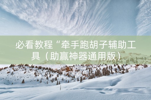 必看教程“牵手跑胡子辅助工具（助赢神器通用版）