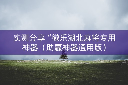实测分享“微乐湖北麻将专用神器（助赢神器通用版）