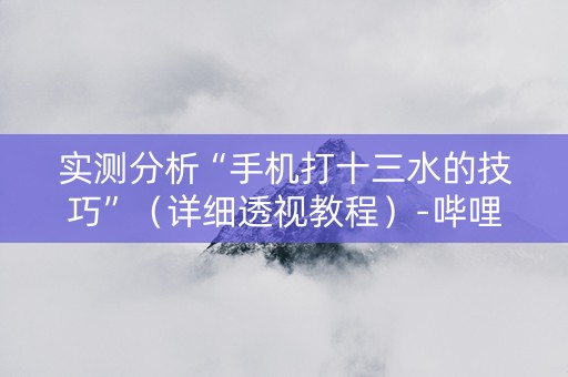 实测分析“手机打十三水的技巧”（详细透视教程）-哔哩哔哩
