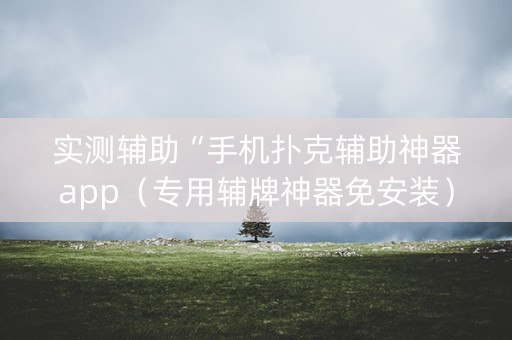 实测辅助“手机扑克辅助神器app（专用辅牌神器免安装）