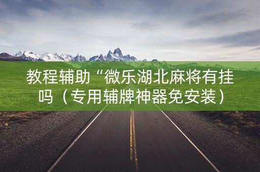 教程辅助“微乐湖北麻将有挂吗（专用辅牌神器免安装）