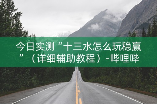 今日实测“十三水怎么玩稳赢”（详细辅助教程）-哔哩哔哩