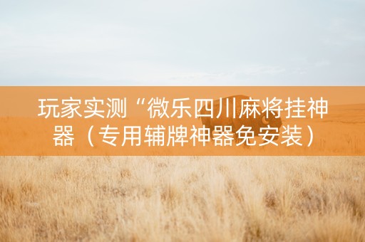玩家实测“微乐四川麻将挂神器（专用辅牌神器免安装）
