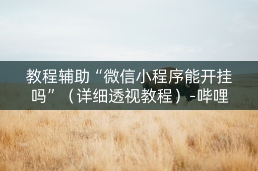 教程辅助“微信小程序能开挂吗”（详细透视教程）-哔哩哔哩