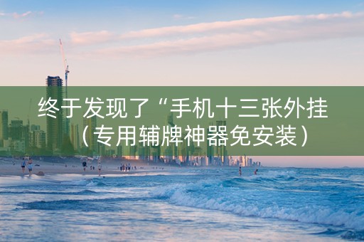终于发现了“手机十三张外挂（专用辅牌神器免安装）