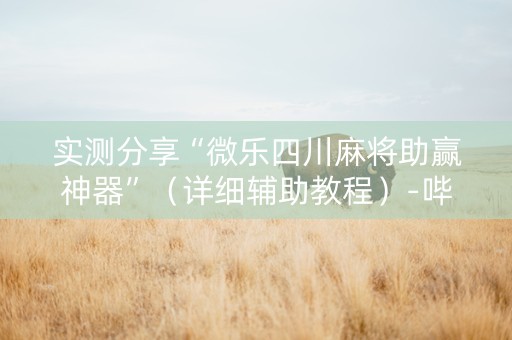 实测分享“微乐四川麻将助赢神器”（详细辅助教程）-哔哩哔哩