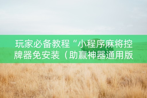 玩家必备教程“小程序麻将控牌器免安装（助赢神器通用版）