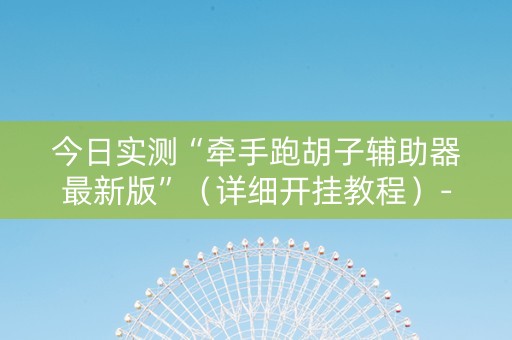 今日实测“牵手跑胡子辅助器最新版”（详细开挂教程）-哔哩哔哩