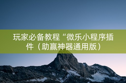 玩家必备教程“微乐小程序插件（助赢神器通用版）