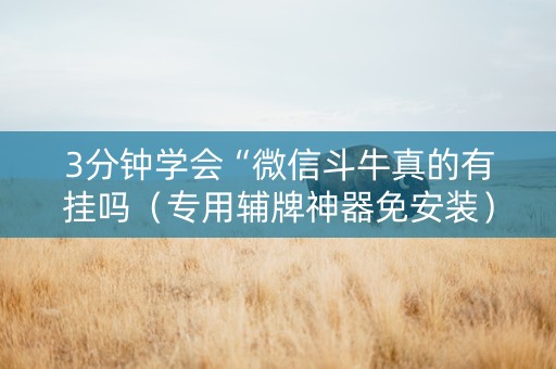 3分钟学会“微信斗牛真的有挂吗（专用辅牌神器免安装）