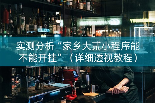 实测分析“家乡大贰小程序能不能开挂”（详细透视教程）-哔哩哔哩