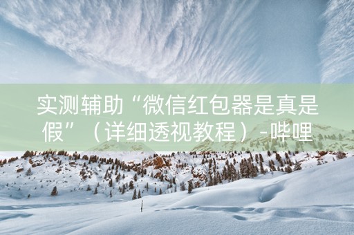实测辅助“微信红包器是真是假”（详细透视教程）-哔哩哔哩