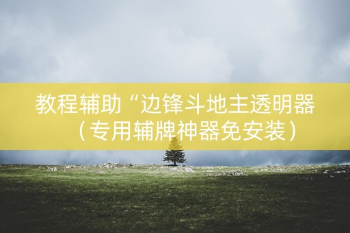 教程辅助“边锋斗地主透明器（专用辅牌神器免安装）