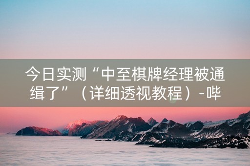 今日实测“中至棋牌经理被通缉了”（详细透视教程）-哔哩哔哩