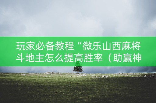 玩家必备教程“微乐山西麻将斗地主怎么提高胜率（助赢神器通用版）
