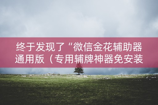 终于发现了“微信金花辅助器通用版（专用辅牌神器免安装）