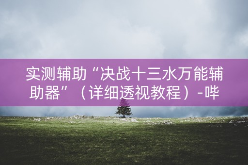 实测辅助“决战十三水万能辅助器”（详细透视教程）-哔哩哔哩