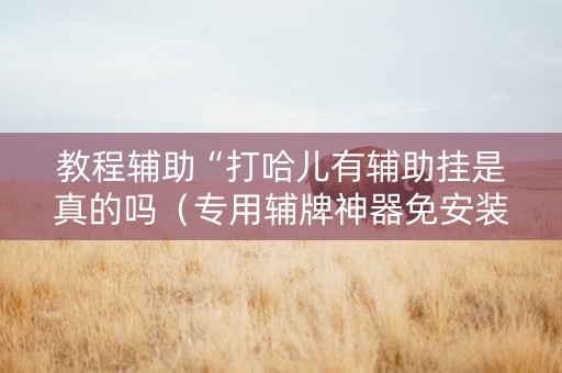 教程辅助“打哈儿有辅助挂是真的吗（专用辅牌神器免安装）