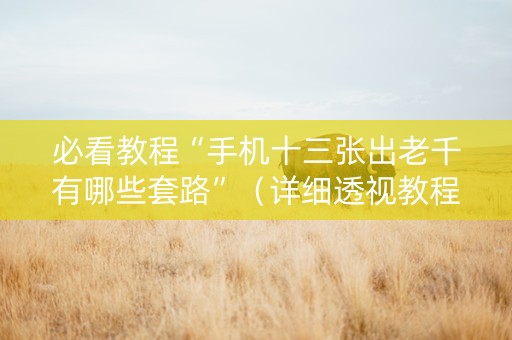 必看教程“手机十三张出老千有哪些套路”（详细透视教程）-哔哩哔哩