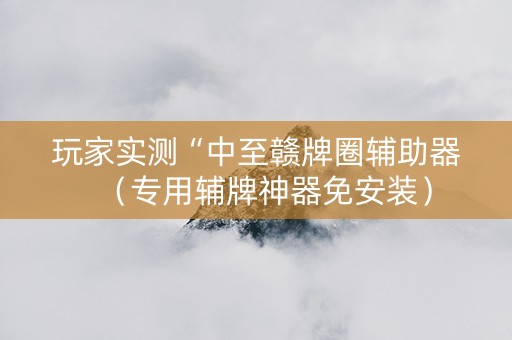玩家实测“中至赣牌圈辅助器（专用辅牌神器免安装）