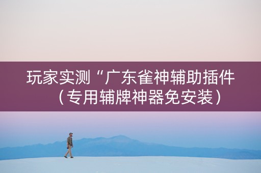 玩家实测“广东雀神辅助插件（专用辅牌神器免安装）