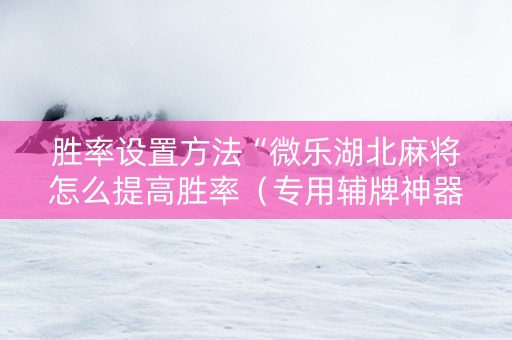 胜率设置方法“微乐湖北麻将怎么提高胜率（专用辅牌神器免安装）