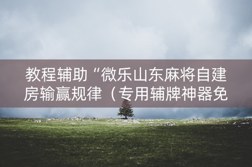 教程辅助“微乐山东麻将自建房输赢规律（专用辅牌神器免安装）