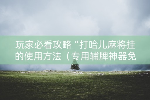玩家必看攻略“打哈儿麻将挂的使用方法（专用辅牌神器免安装）