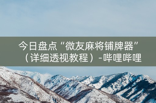 今日盘点“微友麻将铺牌器”（详细透视教程）-哔哩哔哩