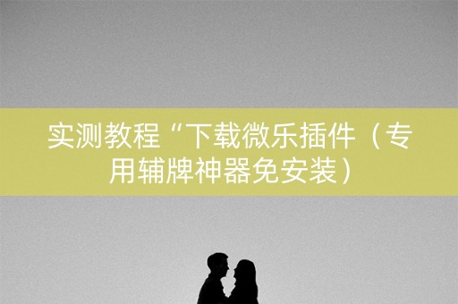 实测教程“下载微乐插件（专用辅牌神器免安装）