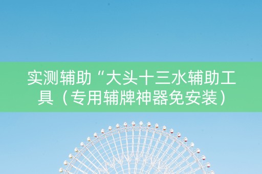 实测辅助“大头十三水辅助工具（专用辅牌神器免安装）