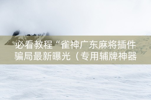 必看教程“雀神广东麻将插件骗局最新曝光（专用辅牌神器免安装）