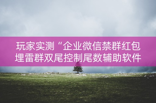 玩家实测“企业微信禁群红包埋雷群双尾控制尾数辅助软件”（详细透视教程）-哔哩哔哩