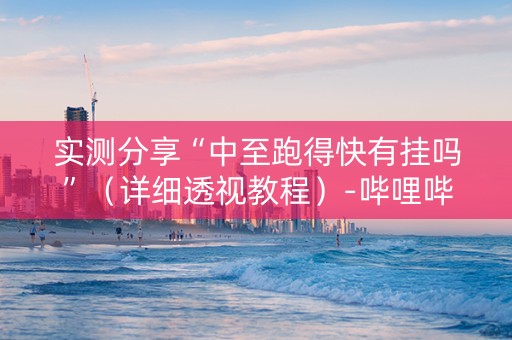 实测分享“中至跑得快有挂吗”（详细透视教程）-哔哩哔哩