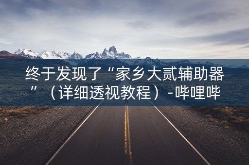 终于发现了“家乡大贰辅助器”（详细透视教程）-哔哩哔哩