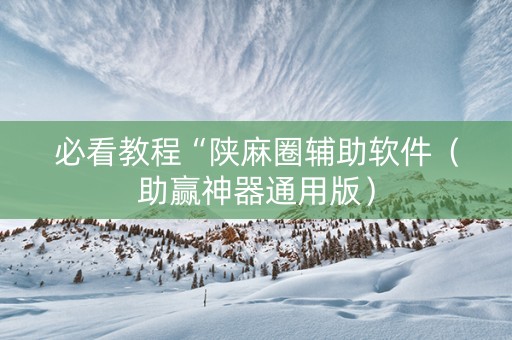 必看教程“陕麻圈辅助软件（助赢神器通用版）