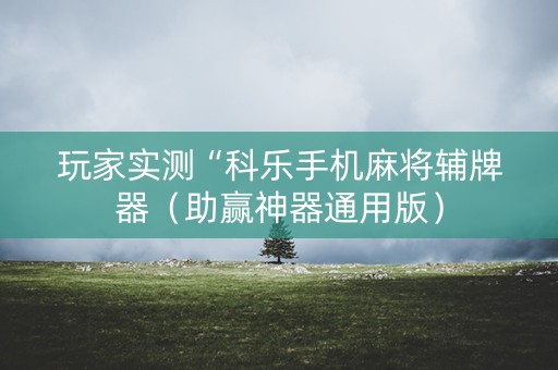 玩家实测“科乐手机麻将辅牌器（助赢神器通用版）