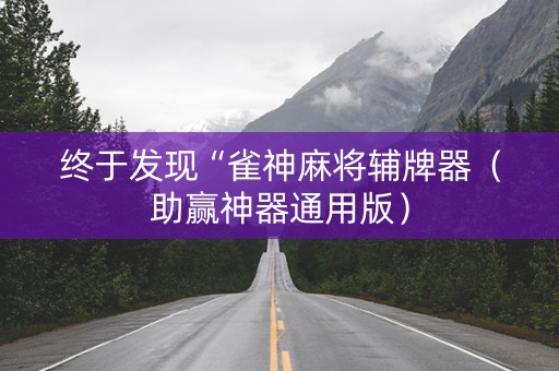 终于发现“雀神麻将辅牌器（助赢神器通用版）