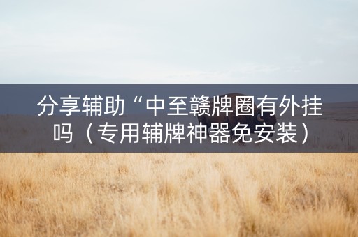 分享辅助“中至赣牌圈有外挂吗（专用辅牌神器免安装）