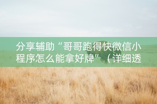 分享辅助“哥哥跑得快微信小程序怎么能拿好牌”（详细透视教程）-哔哩哔哩
