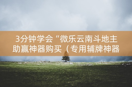 3分钟学会“微乐云南斗地主助赢神器购买（专用辅牌神器免安装）