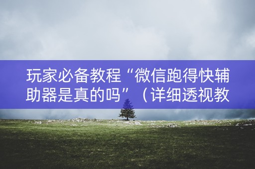 玩家必备教程“微信跑得快辅助器是真的吗”（详细透视教程）-哔哩哔哩