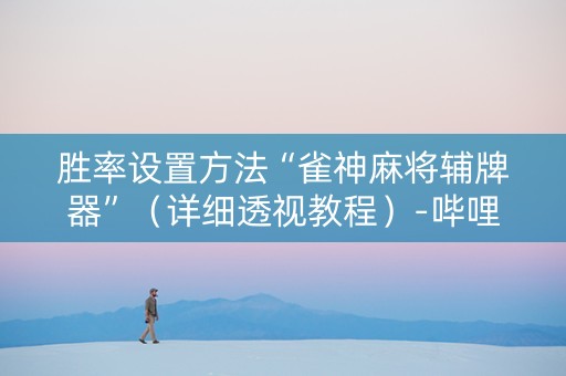 胜率设置方法“雀神麻将辅牌器”（详细透视教程）-哔哩哔哩