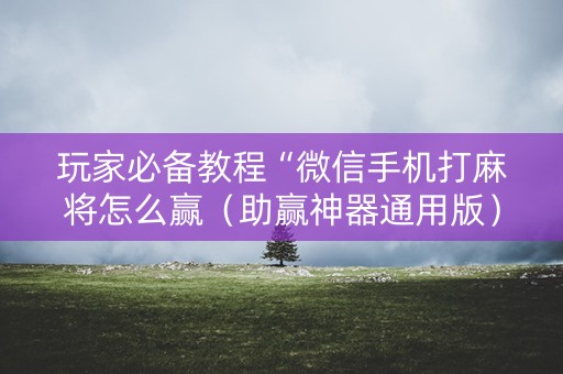 玩家必备教程“微信手机打麻将怎么赢（助赢神器通用版）
