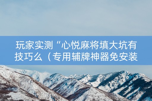 玩家实测“心悦麻将填大坑有技巧么（专用辅牌神器免安装）