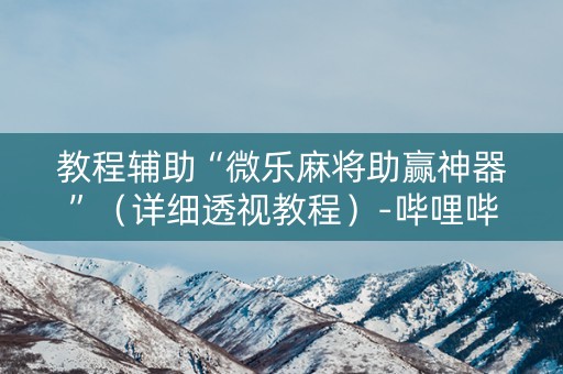 教程辅助“微乐麻将助赢神器”（详细透视教程）-哔哩哔哩