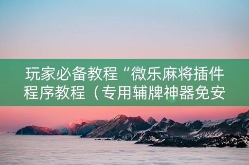 玩家必备教程“微乐麻将插件程序教程（专用辅牌神器免安装）