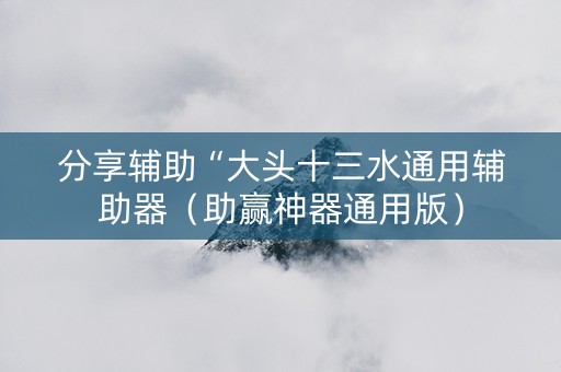 分享辅助“大头十三水通用辅助器（助赢神器通用版）